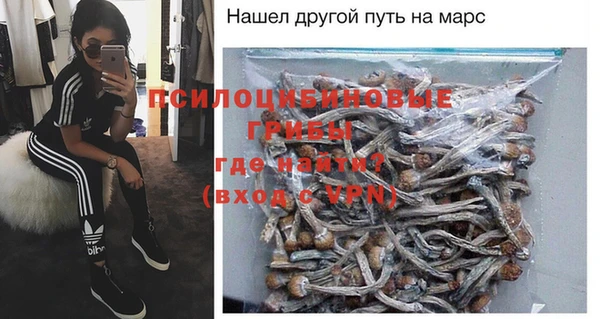 а пвп мука Надым